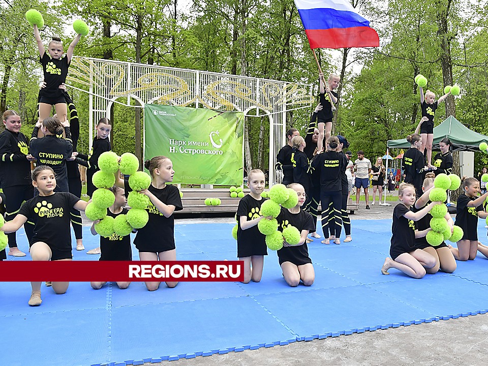 День России отметят в парках в Ступине