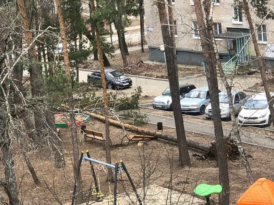 Последствия непогоды устраняют в Протвино