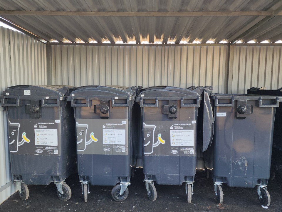 В Реутове неизвестные выбрасывают трупы животных в мусорный бак