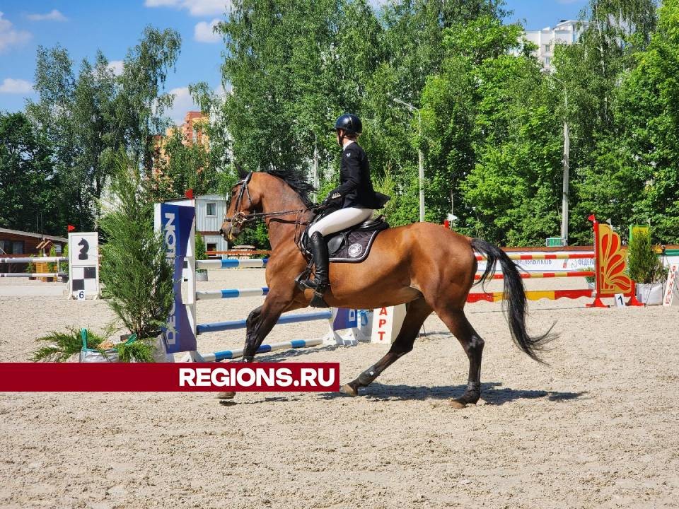 В Подольске продолжают традицию турниров по конкуру и выездке памяти Александра Никулина