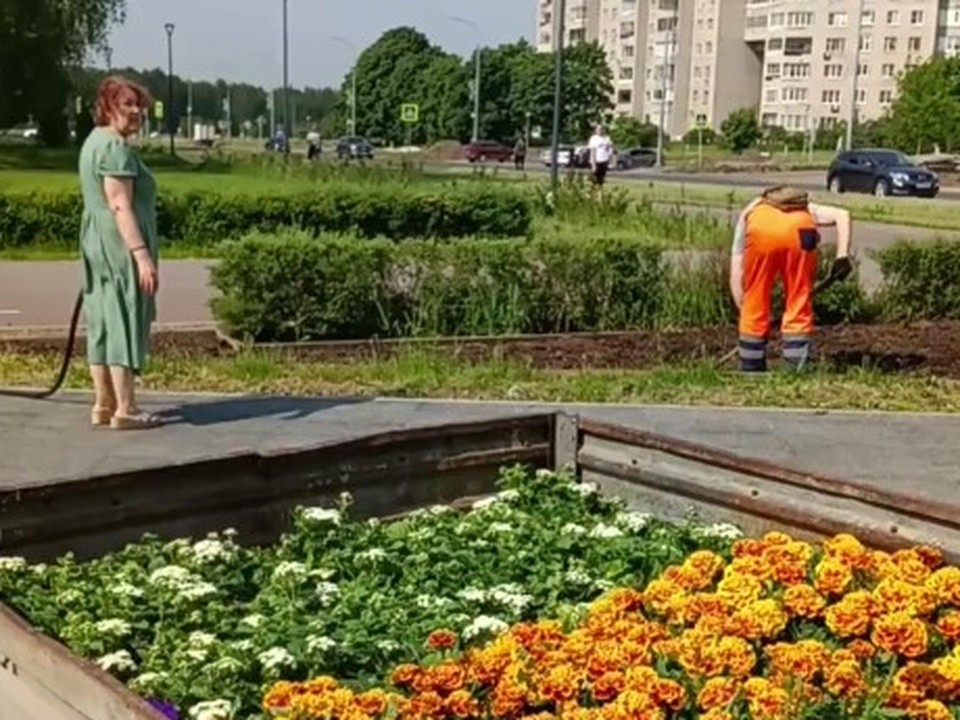 С цветами и без сухостоя: в Черноголовке приступили к плану добрых дел