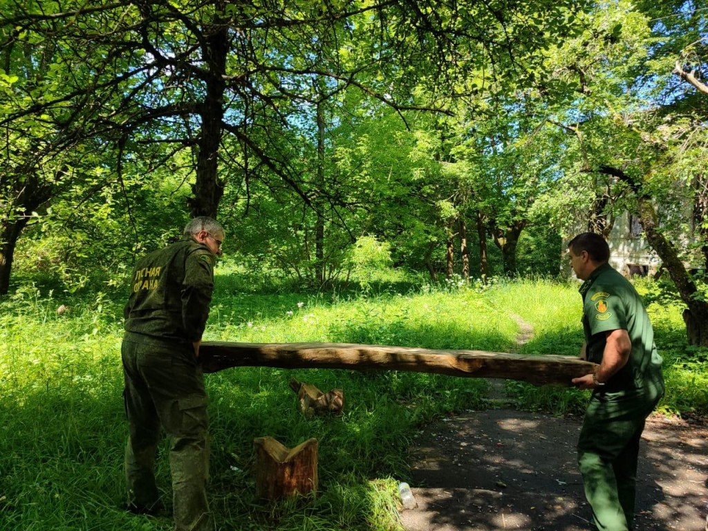 Новые скамейки из валежника установили лесничие в усадьбе Нащокиных в  Серпухове | REGIONS.RU / Серпухов