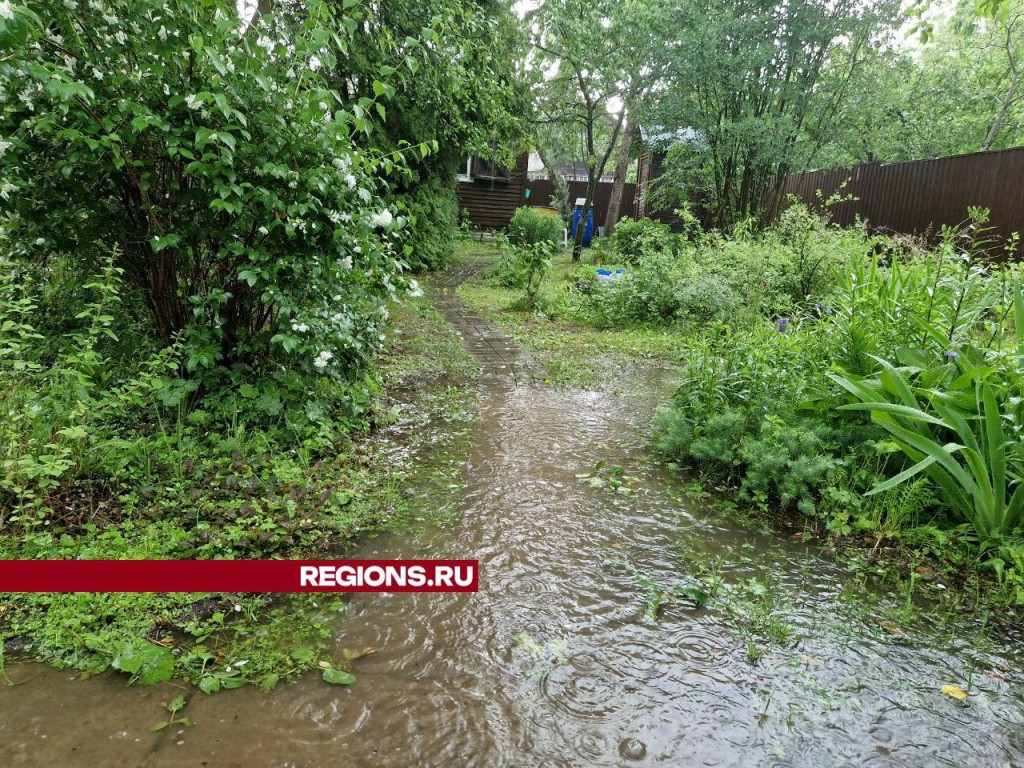 Домодедово накрыли ливни, объявлен оранжевый уровень опасности | REGIONS.RU  / Домодедово