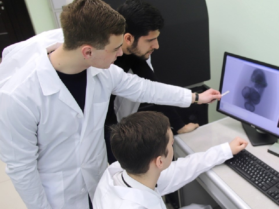 В России разработали первый в стране фантом для МРТ плода