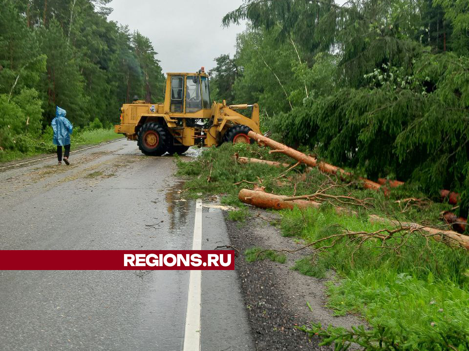 Дороги — расчищают, энергоснабжение — восстанавливают: Егорьевск приходит в себя после непогоды