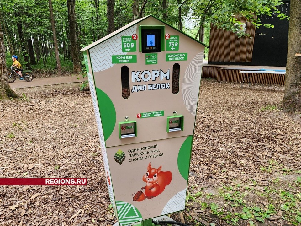 В Одинцово появились автоматы с «правильным» кормом для белок и уток