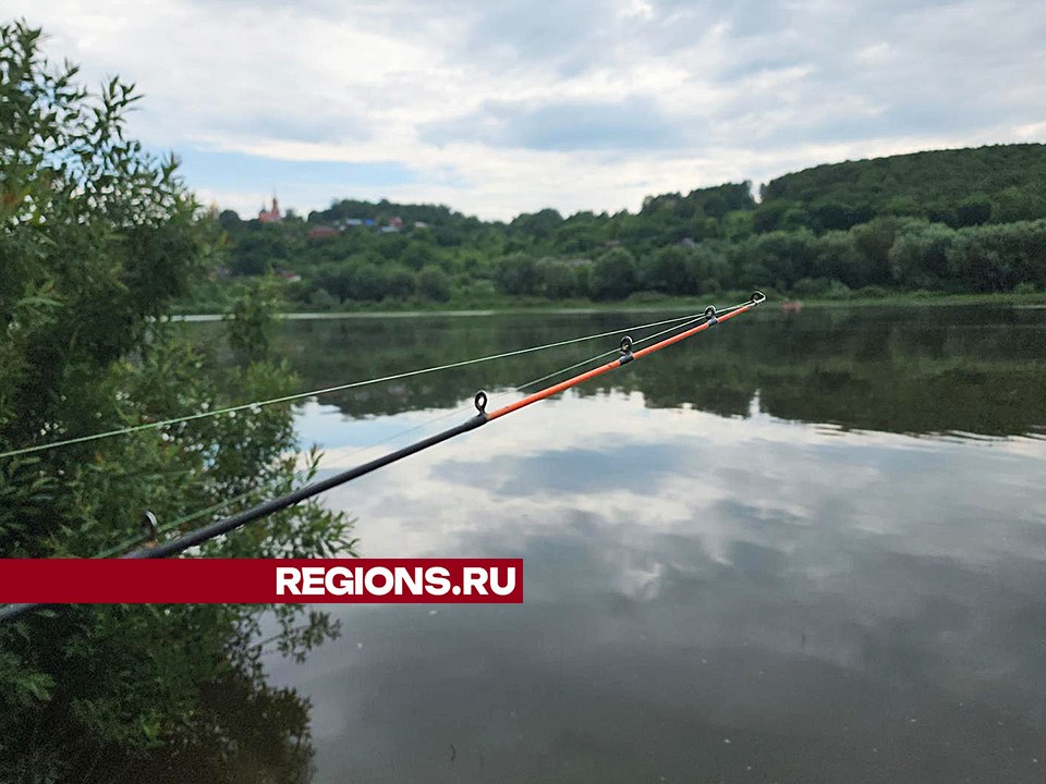 Рыбалка на Оке: советы бывалого рыболова из Ступина