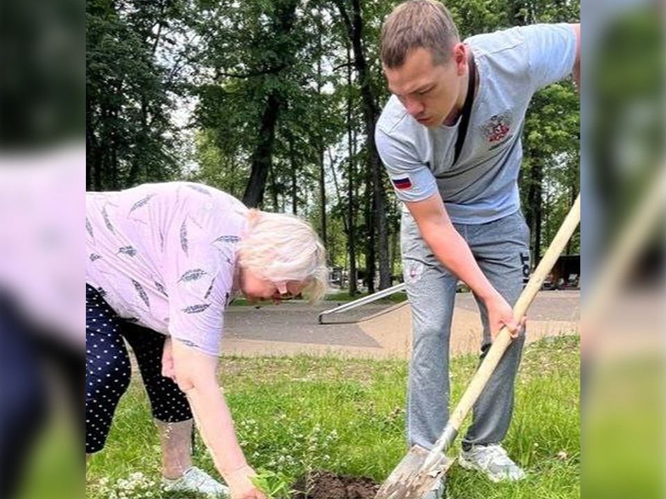 Федор Чудинов с участниками «Активного долголетия» высадил аллею каштанов