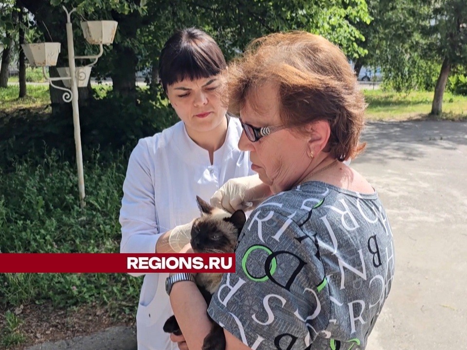 Как в Луховицах проходит выездная вакцинация кошек и собак против бешенства