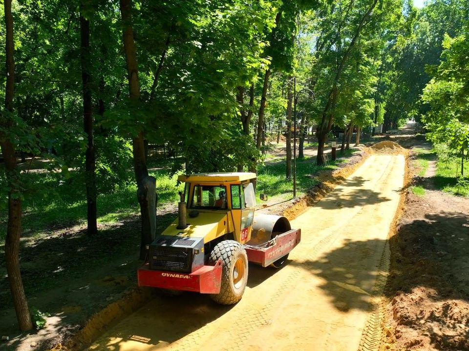 В Наташинском парке начали обустраивать тропинки