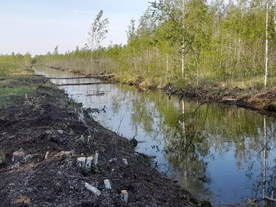 В Луховицах от мелколесья расчистили систему гидроканалов, которая не дает загореться торфяникам