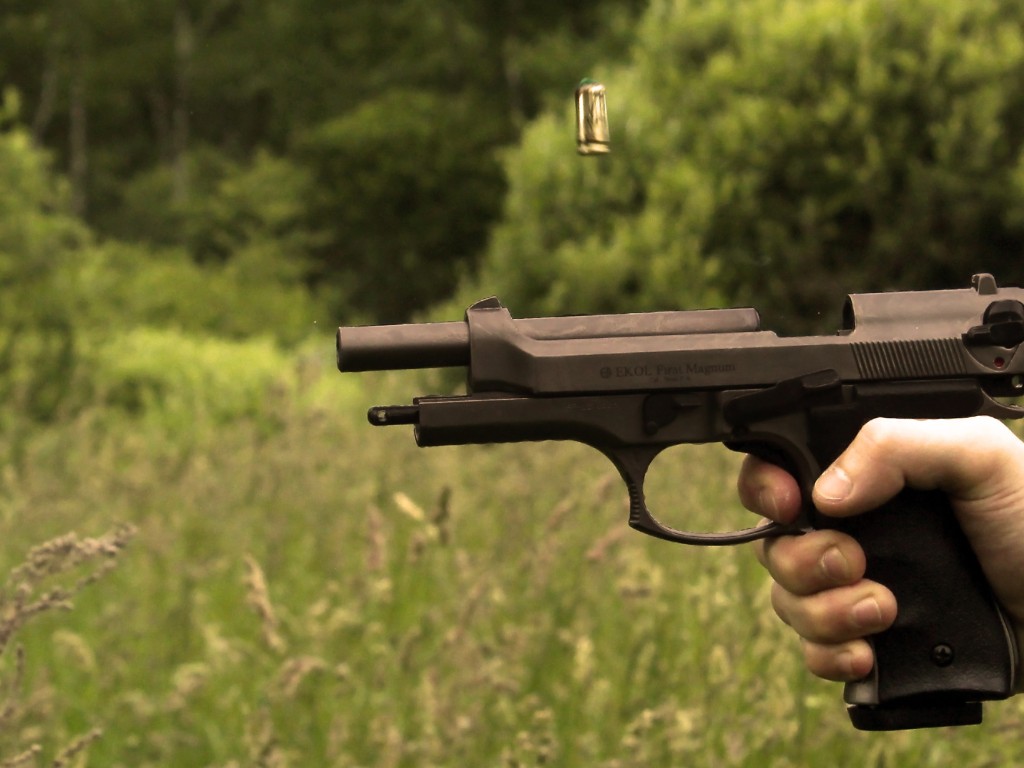 Жители Большого Серпухова пожаловались на выстрелы по кустам