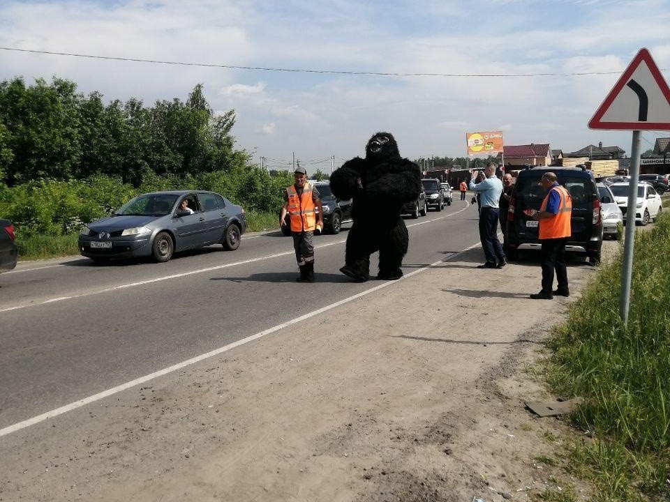 В Раменском округе на железнодорожном переезде водителей встречала горилла