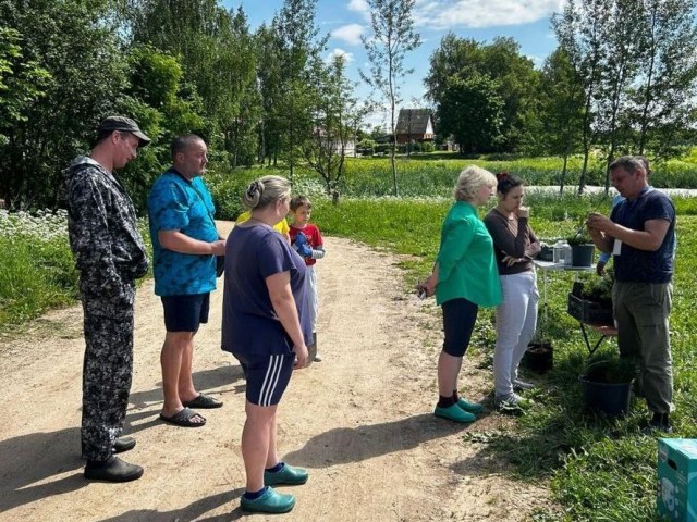 В деревне Пешково высадили 20 саженцев кедра в рамках благотворительной акции
