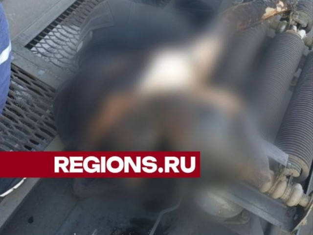 В Раменском на крыше поезда погибла девочка-зацепер