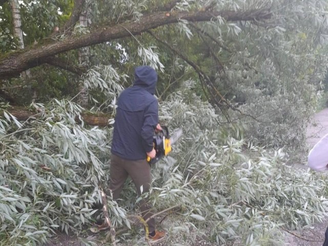 После урагана в Лобне распиливают упавшие деревья и откачивают лужи