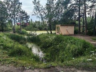 Платные беседки увидели жители округа в Мытищинском лесопарке