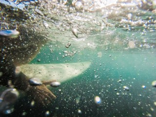 Экологи проверят сведения о сливе нечистот в реку Воря после массовой гибели рыбы