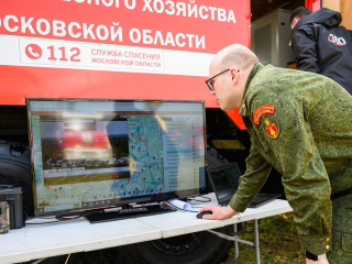 Жителям Коломны предлагают самостоятельно следить за порядком в лесах