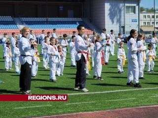 Фестиваль единоборств вновь проведут в Долгопрудном в следующем году и расширят число его участников