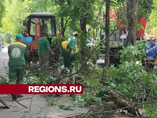 Коммунальщики спиливают сухие деревья на Институтском переулке в Долгопрудном