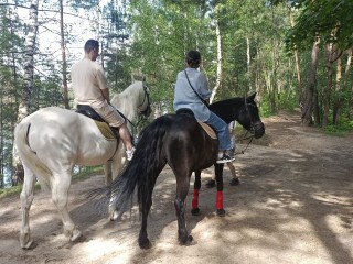 Обучение верховой езде, романтическая прогулка или фотосессия: дзержинцы могут провести выходные в компании с лошадьми