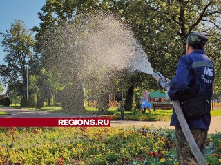 В Никольском парке Лосино-Петровского цветы и деревья из-за жары поливают два раза в день