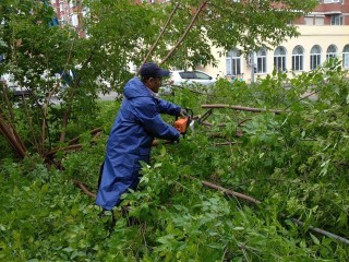 Восстанавливают электроснабжение и убирают деревья: в Лобне устраняют последствия урагана «Эдгар»