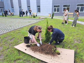 Лобненские студенты высадили у колледжа «Подмосковье» новые деревья