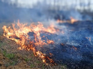 Бездействие собственника на границе с лесом привело к лесному пожару и штрафу