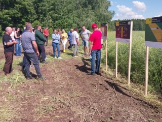 Семинар о возделывании озимого рапса организовали в Зарайске