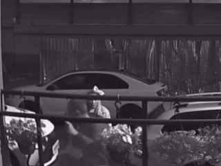 Цветочных воришек разыскивают жители «Императорских Мытищ»