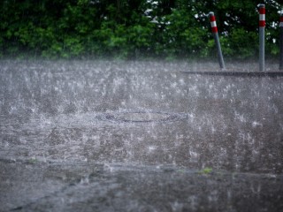 Месячная норма осадков выпадет в Балашихе