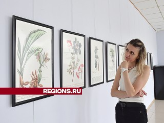 Страницы первых ботанических альбомов, сгоревших при пожаре в Москве, можно увидеть в Ступине