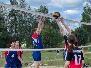 Победителей традиционного турнира по волейболу определили в Красноармейске
