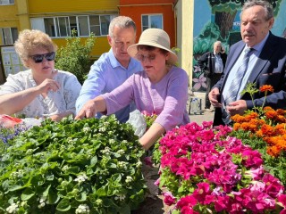 Егорьевские палисадники украсят новые цветы