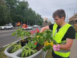 Кашпо с яркими цветами украсят проспект Ленинского Комсомола в Видном