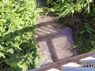 Специалисты-экологи не нашли химикатов в ручье Воронок и реке Клязьме