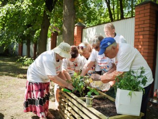 Пенсионеры в Люберцах дружно «заземляются» и выращивают урожай