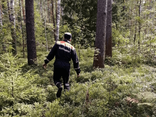 Спасатели вывели из леса Павловского Посада заблудившегося пенсионера