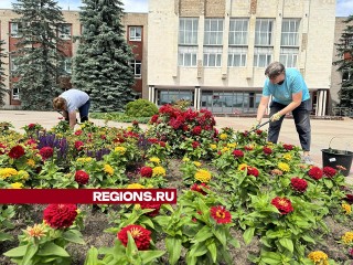 Цветочные клумбы на центральной площади в Шаховской облагородили