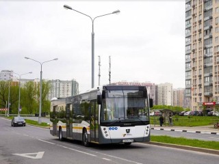 Отдых на воде, барбекю и кино: минтранс Подмосковья проложил маршрут до парка «Скитские пруды»