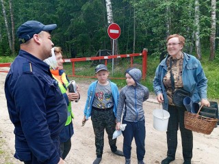 Урок выживания: бабушка на практике показала внукам, что делать, если заблудился в лесу