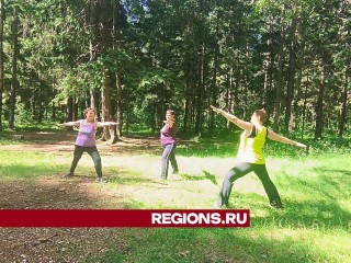 Оздоровление солнцем и природой: Талдомчан приглашают в парк «Солнечный берег» на занятия йогой