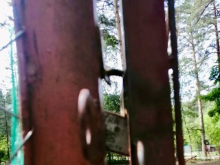 Жуковчане пожаловались на закрытую площадку для выгула собак: в администрации дали ответ