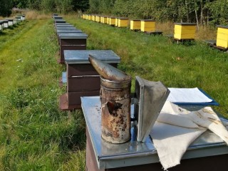 Штрих-коды на улья получат пчеловоды из Электрогорска