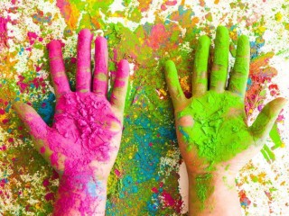 Яркий вторник: талдомчан приглашают на фестиваль летних красок