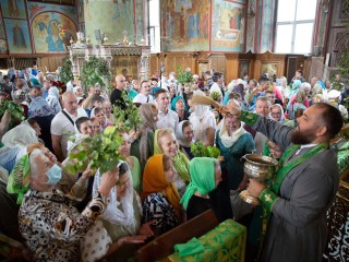Верующие Щелкова в честь Дня Святой Троицы принесли в храмы березовые ветви