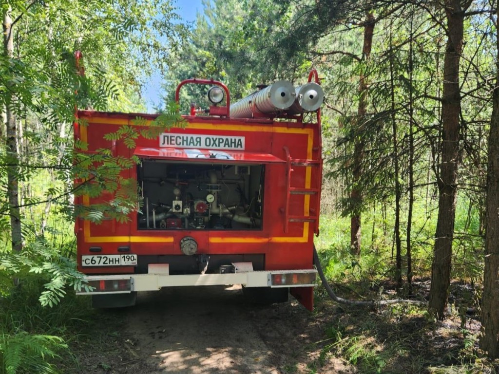 В городском округе Раменский ликвидировали лесной пожар | Regions.ru