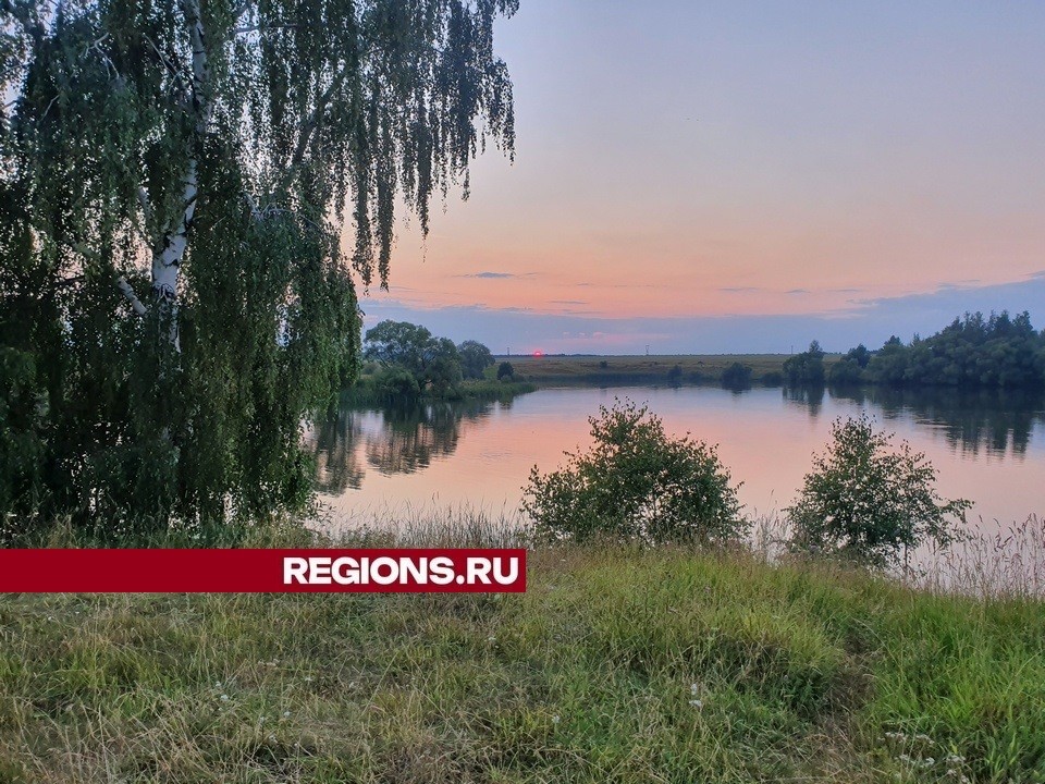 Еще одна трагедия на воде: в пруду у села Троицкие Борки утонула женщина